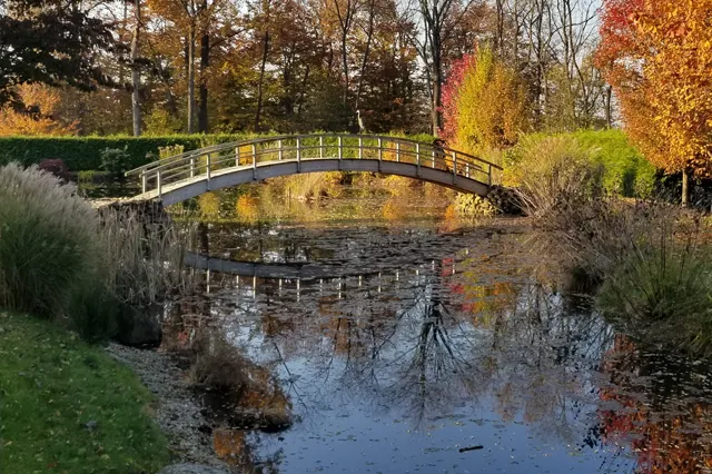 Ornamental pond with arched white footbridge surrounded by fall foliage, ornamental grasses, and formal hedging on an estate property