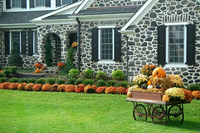 Fall landscape maintenance at a Chester County fieldstone estate featuring chrysanthemum border plantings, seasonal pumpkin display, and manicured lawn by Eastern Horticultural Services