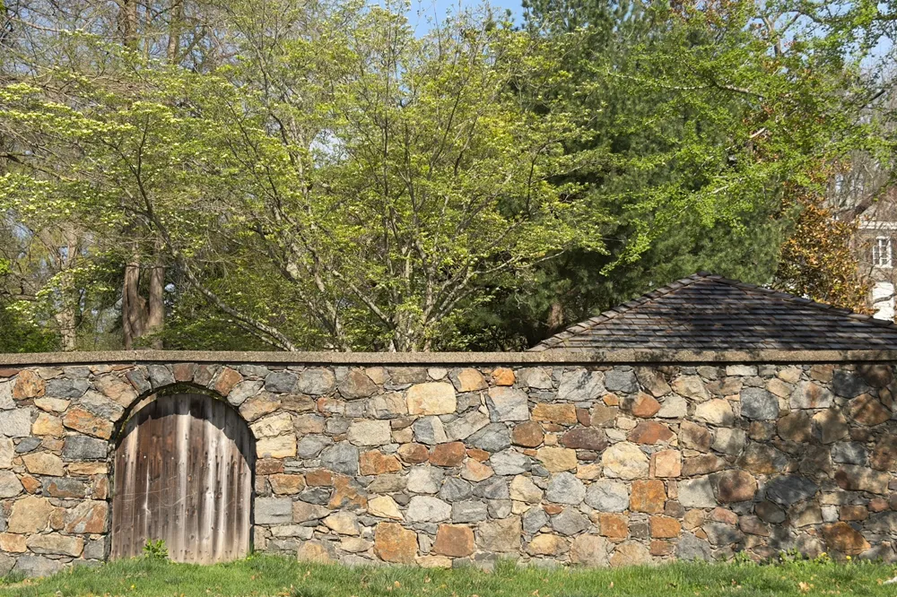 Historic fieldstone perimeter wall with hand-built stone arch and wooden gate — period masonry restoration by Eastern Horticultural Services, Gibraltar Estate, Wilmington DE