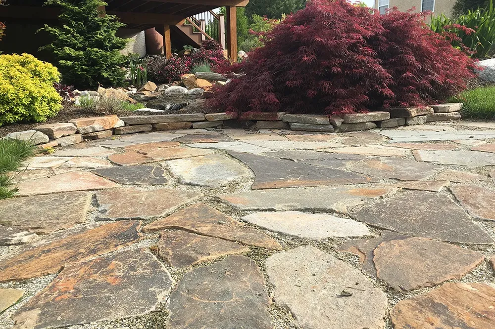 Dry-laid irregular flagstone terrace with fieldstone edging and Acer palmatum — masonry by Eastern Horticultural Services