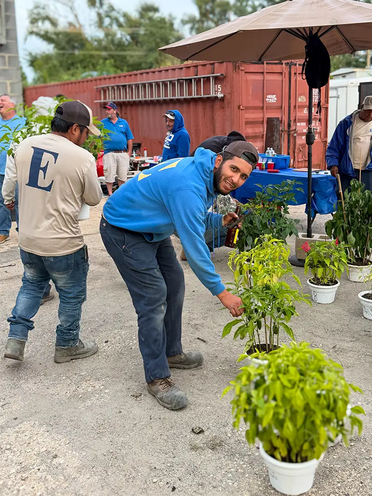 EHS crew member in a blue hoodie checking a row of potted jalapeño plants under a patio umbrella