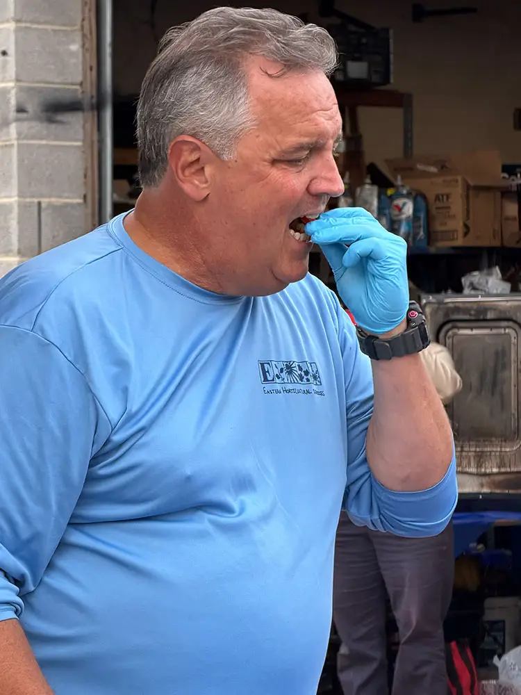 John Winterbottom of Eastern Horticultural Services biting into a raw jalapeño during Pepper Plant Prize judging