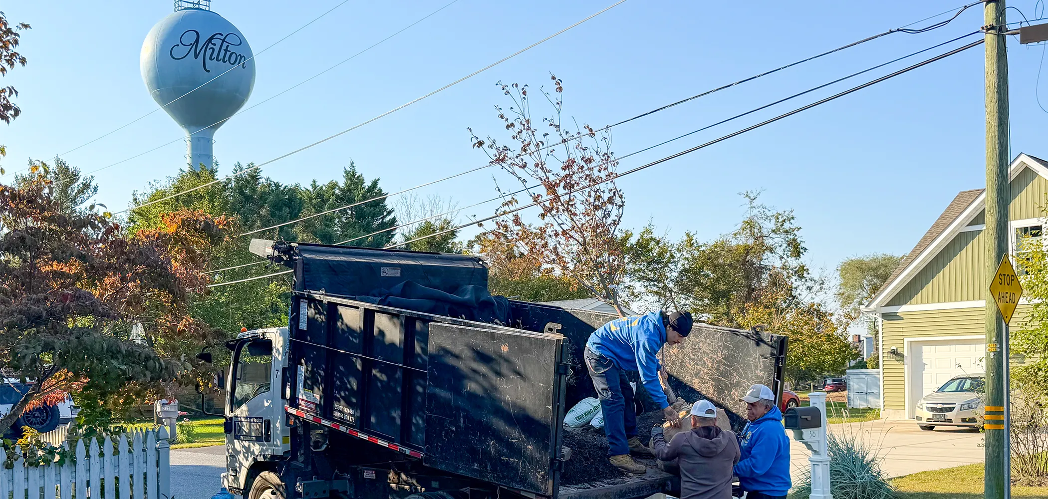 EHS crew unloading a dogwood beneath the Milton water tower in Milton, Delaware